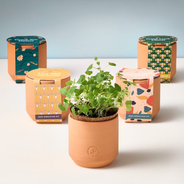 Tiny Terracotta Kits For Sale
