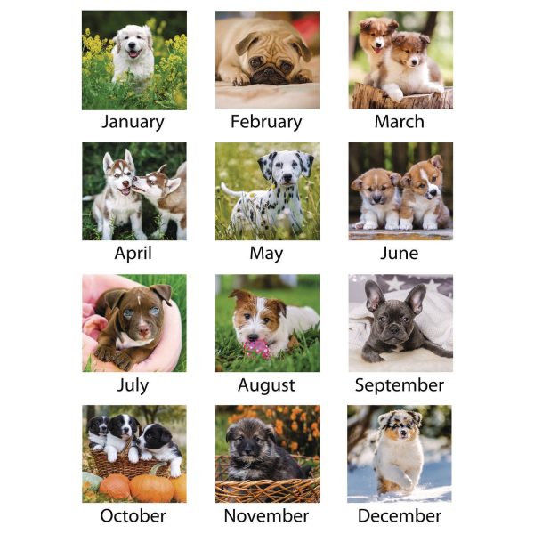 At-A-Glance Puppies Desk Pad - Standard Size - Monthly - 12 Month - January 2024 - December 2024 - 1 Month Single Page Layout - 21 3 4  x 17  White Sheet - Desktop, Desk Pad - White - Paper - Full-color Photos of Puppies, Bleed Resistant Paper, Unrul For Sale - Image 3