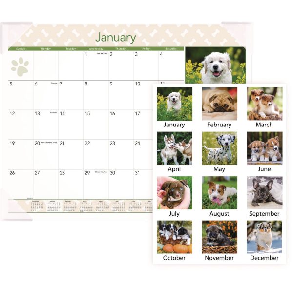 At-A-Glance Puppies Desk Pad - Standard Size - Monthly - 12 Month - January 2024 - December 2024 - 1 Month Single Page Layout - 21 3 4  x 17  White Sheet - Desktop, Desk Pad - White - Paper - Full-color Photos of Puppies, Bleed Resistant Paper, Unrul For Sale - Image 2